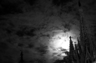 IMG_3541.JPG