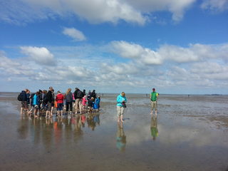 Wadden Sea.jpg