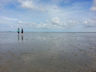 Wadden Sea (3).jpg