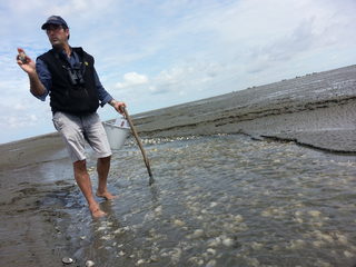 Wadden Sea (4).jpg