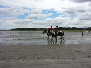 Wadden Sea (5).jpg