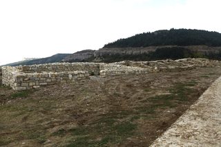 IMG_5752.jpg