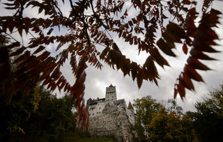 AP_16291141230316.jpg