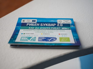 _STS0197.jpg