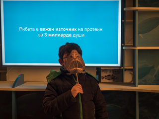 _STS0733.jpg