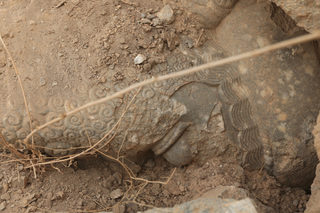 2016-11-16T181554Z_1112255944_D1BEUNFBLAAB_RTRMADP_3_MIDEAST-CRISIS-IRAQ-NIMRUD.JPG