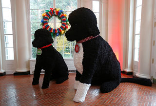 2016-11-29T165048Z_2031945315_RC11C0DD4200_RTRMADP_3_CHRISTMAS-SEASON-WHITEHOUSE.JPG