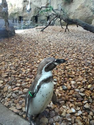 IMG_20170213_151032.jpg