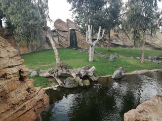 IMG_20170214_155507.jpg