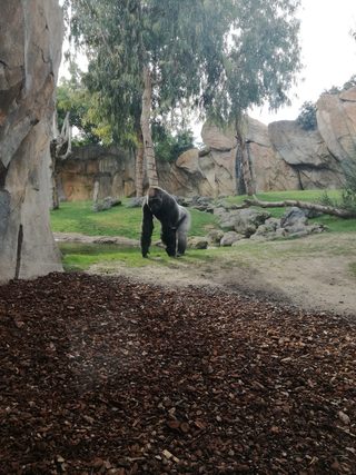 IMG_20170214_161530.jpg