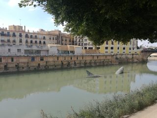 IMG_20170216_114904.jpg