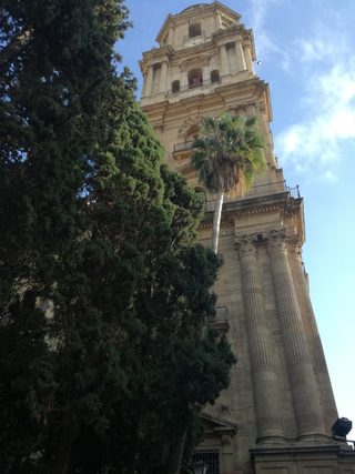 IMG_20170217_172046.jpg