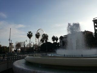 IMG_20170217_174143.jpg