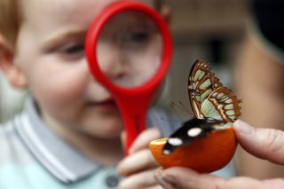 2017-03-30T143146Z_718120901_LR1ED3U14CNAW_RTRMADP_3_BRITAIN-ODDLY.JPG