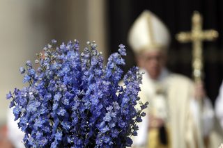 AP_17106306946421.jpg