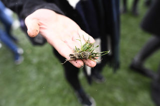 General view of a Tottenham fan that has taken part of the pitch after the game