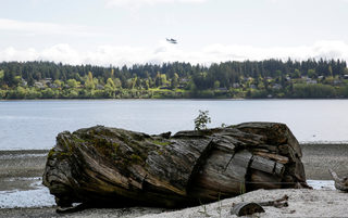 2017-05-18T185826Z_883534970_RC1CA48F5E70_RTRMADP_3_TELEVISION-TWINPEAKS-LOCATIONS.JPG