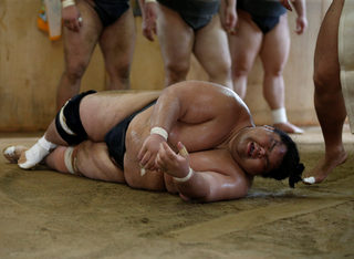 2017-07-18T222527Z_1791558513_RC1E0B04E930_RTRMADP_3_JAPAN-SUMO.JPG