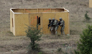 P0306851868N.jpg