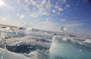 AP_17205645712715.jpg