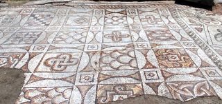 bazIMG_8036 (1).jpg