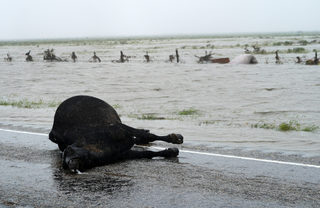 2017-08-26T193409Z_2127755768_RC1311A5F570_RTRMADP_3_STORM-HARVEY.JPG