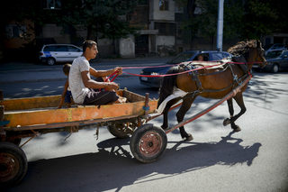a55NIK_1482.JPG