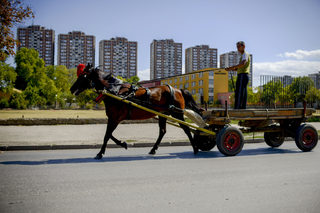 a86NIK_1646.JPG