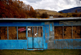 2017-11-17T100239Z_709237036_RC1F8BB49B00_RTRMADP_3_WARCRIMES-MLADIC-VILLAGE.JPG