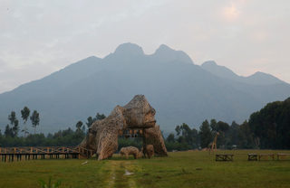 2018-01-11T180605Z_760169920_RC1258D1CB50_RTRMADP_3_RWANDA-GORILLAS.JPG