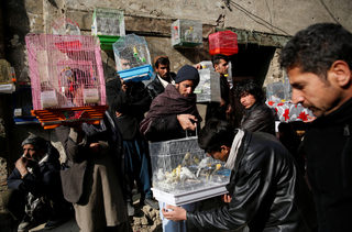 2018-01-30T162219Z_1577421859_RC164972B640_RTRMADP_3_AFGHANISTAN-BIRDMARKET.JPG