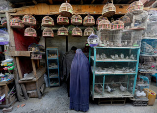 2018-01-31T080359Z_1026288971_RC13EFA78150_RTRMADP_3_AFGHANISTAN-BIRDMARKET.JPG