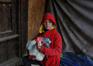 2018-01-31T080509Z_38301860_RC1D142CB2C0_RTRMADP_3_AFGHANISTAN-BIRDMARKET.JPG
