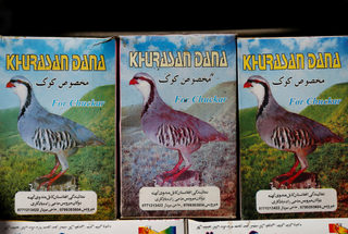 2018-01-31T080530Z_1361488635_RC1203C4F320_RTRMADP_3_AFGHANISTAN-BIRDMARKET.JPG