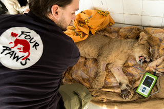 VIER PFOTEN_2018-01-31_046.JPG