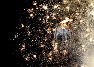 2018-02-09T132240Z_801263069_DEVEE29115R1Y_RTRMADP_3_OLYMPICS-2018-OPENING.JPG