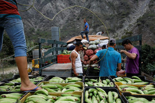 2018-02-09T110432Z_1781234683_RC1732351F90_RTRMADP_3_VENEZUELA-ECONOMY-TRUCKS.JPG