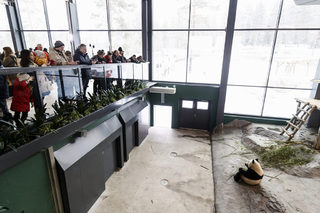 2018-02-17T084736Z_717472665_RC1379274800_RTRMADP_3_FINLAND-ANIMALS.JPG