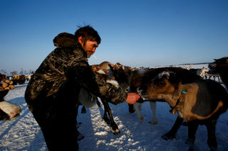 The Wider Image: Russian voting starts early for reindeer herders