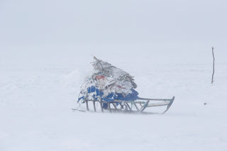 The Wider Image: Russian voting starts early for reindeer herders