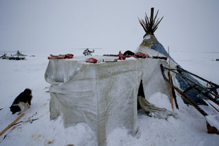 The Wider Image: Russian voting starts early for reindeer herders