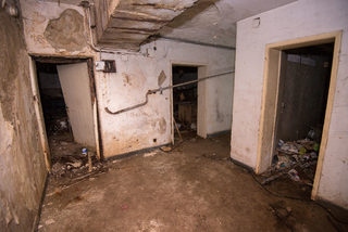 DSC_6324.jpg