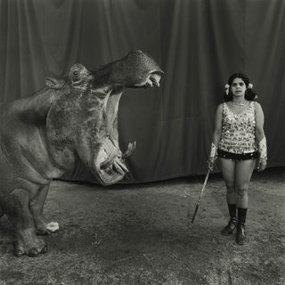 MEMÂ©Hippopotamus and Performer, Great Rayman Circus,1989.jpg