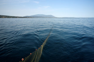 2018-07-02T130131Z_2113273852_RC1C2F8E6D40_RTRMADP_3_GREECE-FISHING.JPG