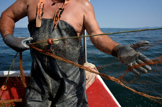 2018-07-02T130246Z_1232126309_RC18F95D0480_RTRMADP_3_GREECE-FISHING.JPG