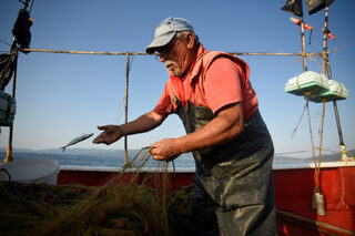 2018-07-02T130325Z_1166851672_RC15D4326A40_RTRMADP_3_GREECE-FISHING.JPG