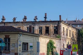 DSC_7539.jpg