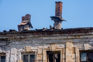 DSC_7544.jpg