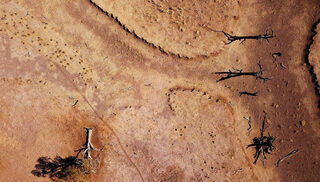 2018-07-31T230449Z_761460942_RC1B6DE70460_RTRMADP_3_AUSTRALIA-DROUGHT.JPG