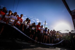 _MG_4446.jpg